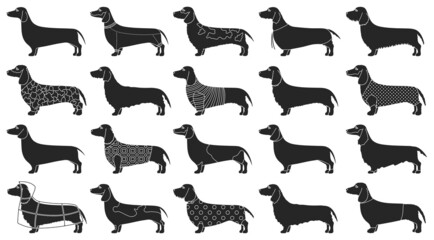 Dachshund isolated black set icon. Vector illustration dog on white background. Vector black set icon dachshund.