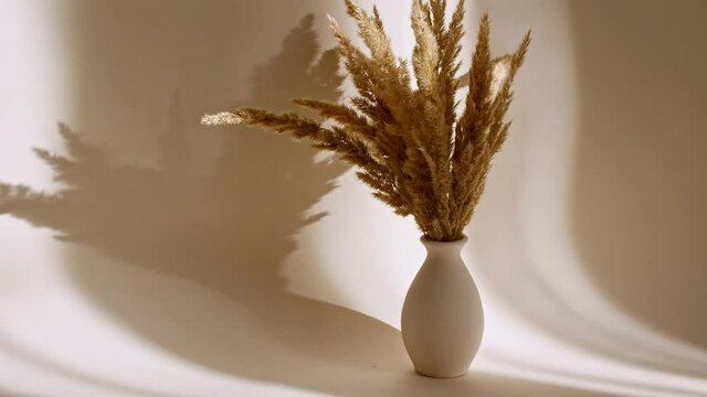 The movement of golden spikelets in the wind. Sunlight soft light and shadows from the transparent curtain, tulle. Space for text. Product presentation, mockup for advertising. 4k. High quality 4k