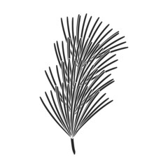 Twig pine isolated black icon. Vector illustration spruce twig pine on white background. Vector black illustration icon tree conifer.