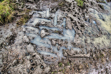 Imprint of a tractor tyre in soft, wet clay
