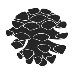 Twig pine isolated black icon. Vector illustration spruce twig pine on white background. Vector black illustration icon tree conifer.