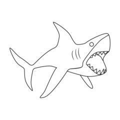 Shark outline vector icon.Outline vector illustration fish of sea. Isolated illustration of shark icon on white background.