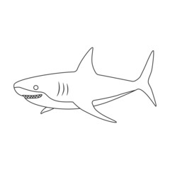 Shark outline vector icon.Outline vector illustration fish of sea. Isolated illustration of shark icon on white background.