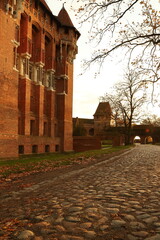 Zamek, czerwona cegła, mury, gotyk, deszcz, Malbork