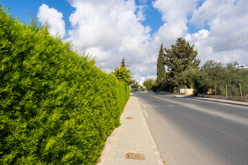 Green hedge along the sidewalk and road