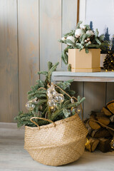 Fir or pine branches in a wicker basket at Christmas time. living room interior decor