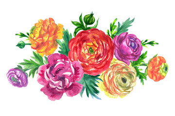 Fototapeta na wymiar Bouquet of multicolored ranunculus, watercolor illustration on white background, isolated. Floral decor for greeting cards and other products.