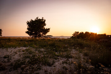 Obraz premium Wonderful sunset at the Rogoznica, beautiful nautical destination in central Dalmatia, Croatia, photographed in the field dirt road above the beach