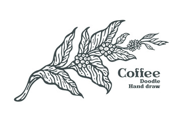Fototapeta premium Branch of coffee with fruits and flowers hand drawn illustration
