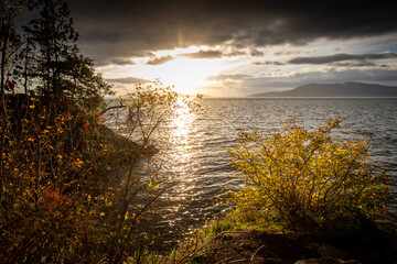 Fall Foliage at sunset over the Puget Sound