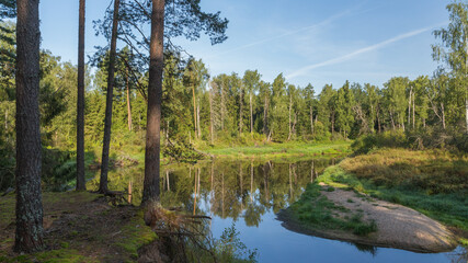 Obraz premium Meshchyora