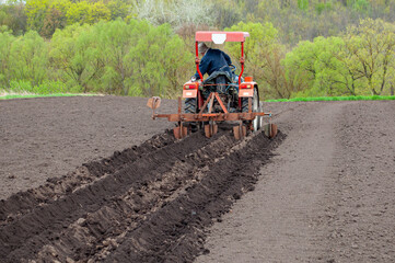 Obraz premium Harvesting potatoes with a tractor. Agricultural machinery