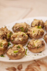 stuffed mushrooms with green mushrooms on a white plate