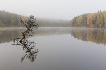 Fall in Sergiev Posad, Russia