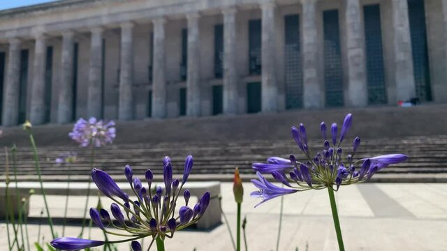 Flores en la puerta de la facultad de derecho de Buenos Aires