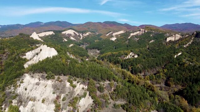Pirin Mountains Forest Flyover