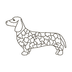 Dachshund vector icon.Outline vector icon isolated on white background dachshund.