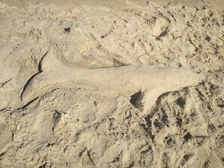 shark sculpture made of sand on the shore close-up. High quality photo