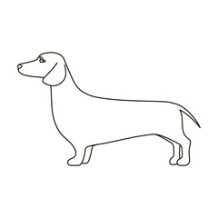 Dachshund vector icon.Outline vector icon isolated on white background dachshund.
