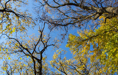 Autumn, the season with the most beautiful colors.