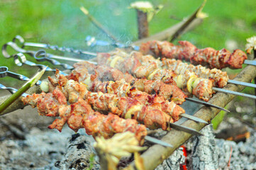 Appetizing barbecue on coals with smoke. Fried meat in nature.