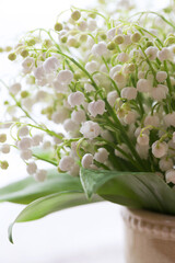 Bouquet of spring flowers lilies of the valley close-up on a white background. Blur, selective focus.