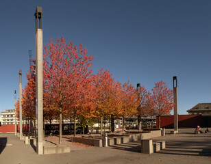 Red Autumn foliage of trees planted in the station forecourt at Sargans, Switzerland © elliottcb