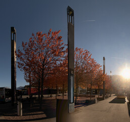 Red Autumn foliage of trees planted in the station forecourt at Sargans, Switzerland © elliottcb