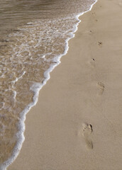 Footprints in the sand