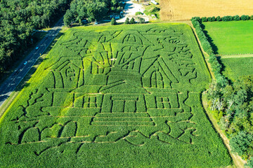 aerial image of a corn maze