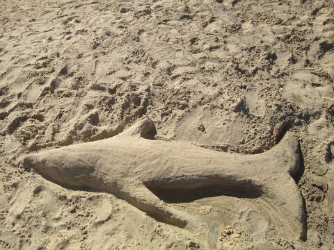 shark sculpture made of sand on the shore close-up. High quality photo