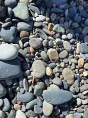 pebbles on the beach