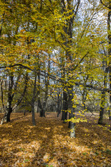 Obraz premium Autumn view of South Park in city of Sofia, Bulgaria