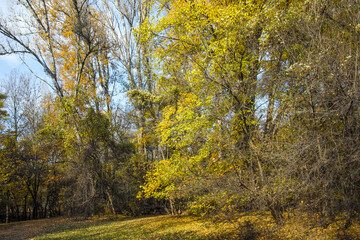Autumn view of South Park in city of Sofia, Bulgaria
