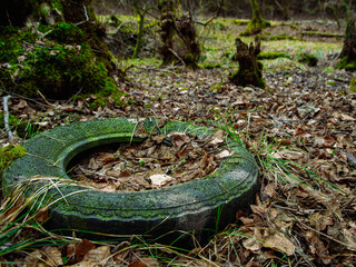 littering of nature, unauthorized dumping of garbage