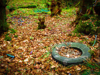 littering of nature, unauthorized dumping of garbage