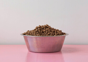 Large bowl of dry dog food on a white background