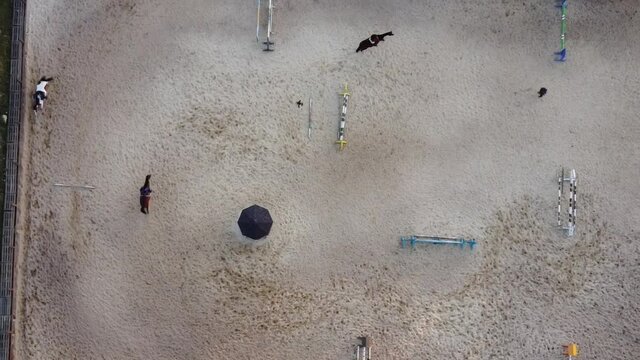 Horseback riding lessons at the racetrack. Horseback riding. Horseback riding training. Top view of the horse arena
