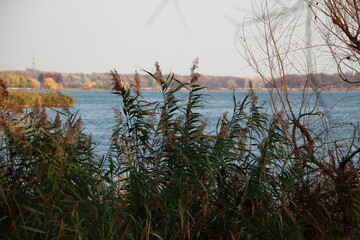 sunny november by the lake