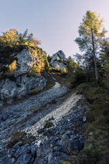 Fototapeta premium Bäume am Hang mit Felsen und Geröll im Gegenlicht mit Herbstfarben in den Alpen