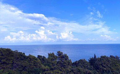 Clouds over the sea. Pine trees in the forest by blue sea shore, idyllic summer Mediterranean landscape.  Conifers trees on seashore.  Sky clouds over calm sea water. Relax, serenity, tranquility, bea
