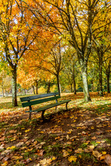 bench in autumn park