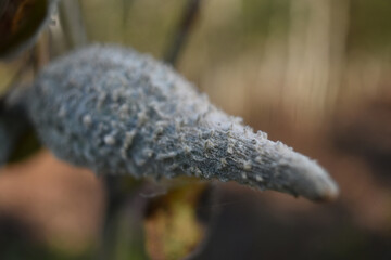 My photos