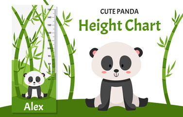 Height chart with cute little panda in bamboo forest. Children illustration in vector flat style