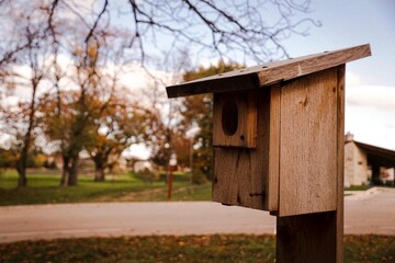 wooden bird house