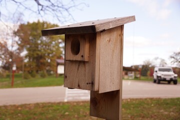 bird house on a tree