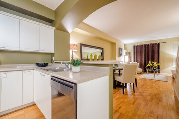 Modern kitchen in luxury house.