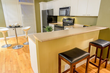 Modern, bright, clean, kitchen interior with black appliances in a luxury house