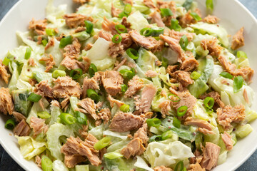 Tuna salad with avocado, celery, spring onion and iceberg lettuce. Tasty healthy food