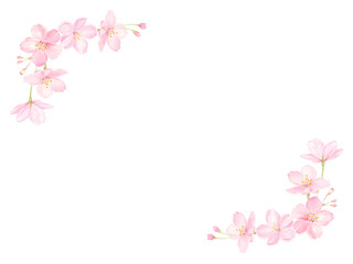 Fototapeta na wymiar 水彩で描いた桜のフレーム　ベクター